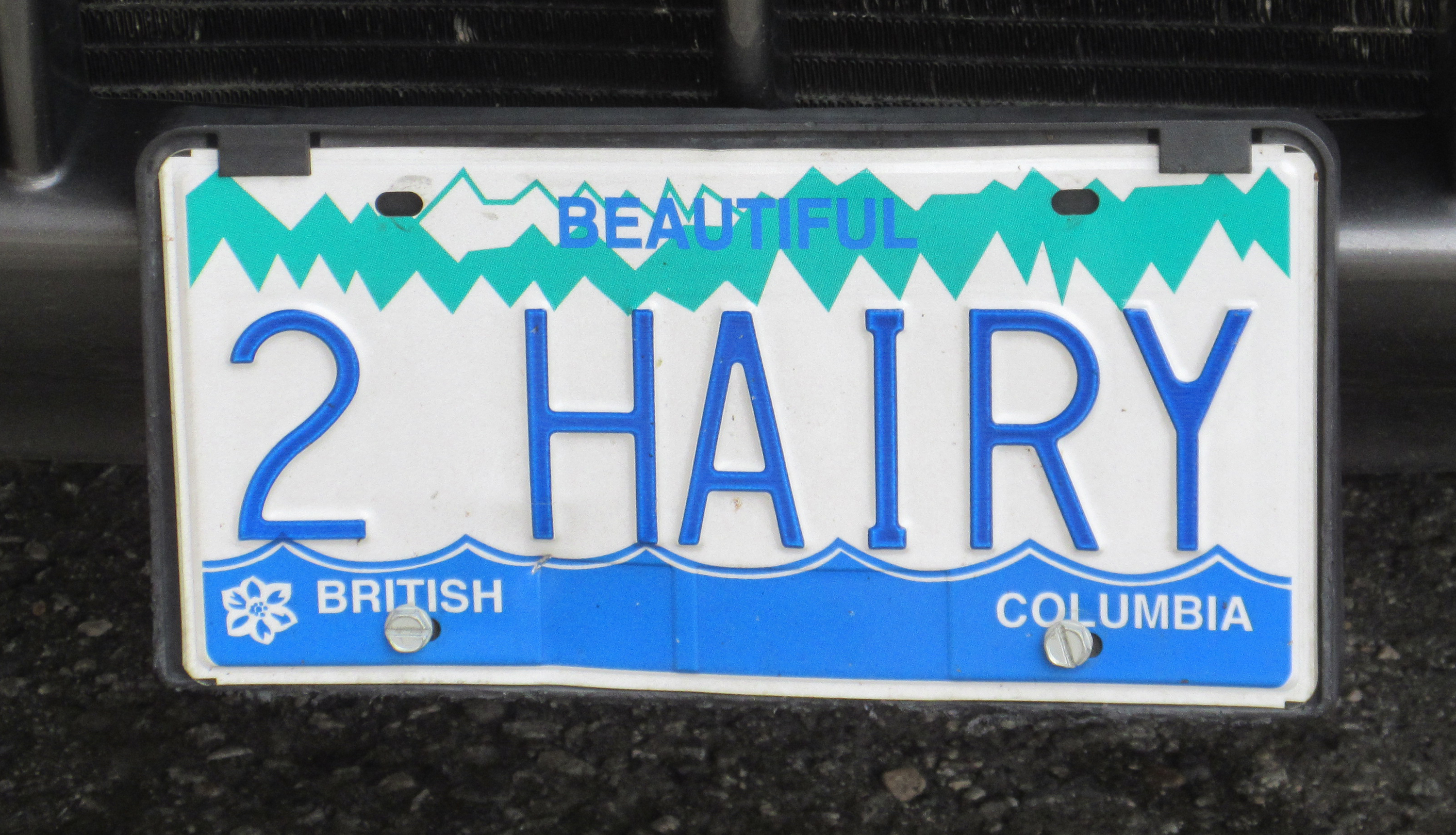 British Columbia 1959 License Plate Personalized Auto Bike Motorcycle Moped 